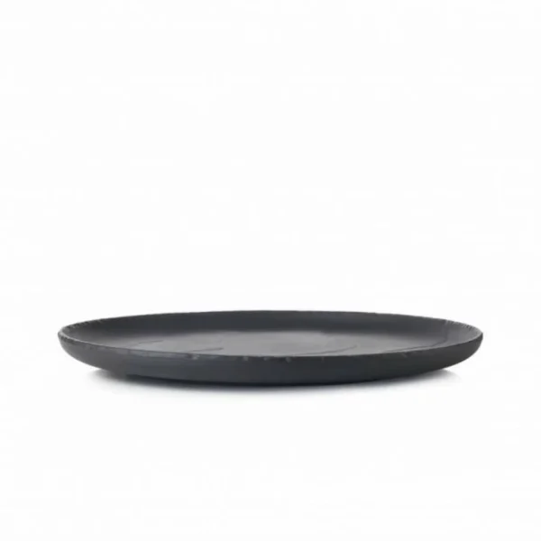 Satisfait ou Remboursé Assiette Plate Ardoise 26 Cm Basalt Revol 4