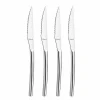 Satisfait ou Remboursé Coffret 4 Couteaux Steak Aurora 22,7 Cm Amefa Premiere 10
