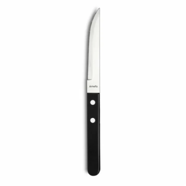 Coffret 6 Couteaux Steak Pizza 21,6 Cm Amefa magasin en ligne france 4
