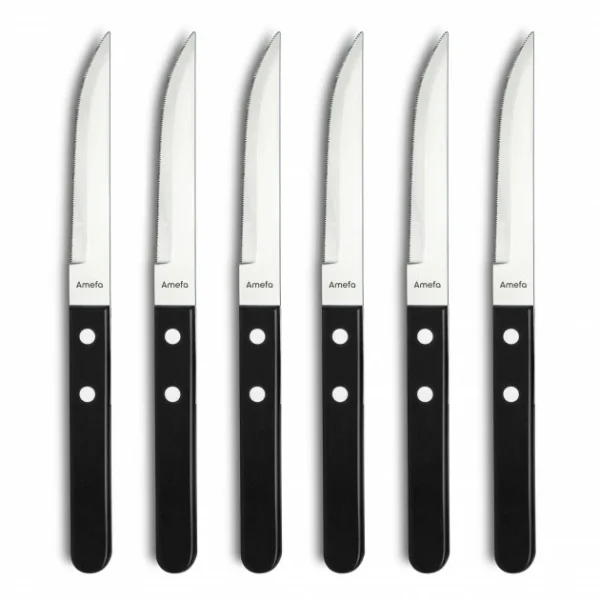 Coffret 6 Couteaux Steak Pizza 21,6 Cm Amefa magasin en ligne france 1