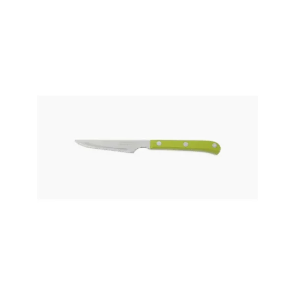 FIN DE SERIE Couteau à Steak Cranté 11.5 Cm Vert Arcos magasins pour 1