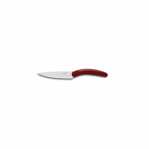 nouveau produit DEGLON FIN DE SERIE Couteau à Steak 12 Cm Silex Color Déglon 1