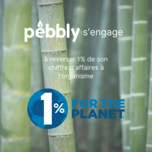 FIN DE SERIE Lot 6 Piques à Fondue Bambou Et Inox Colorées Pebbly en france 6
