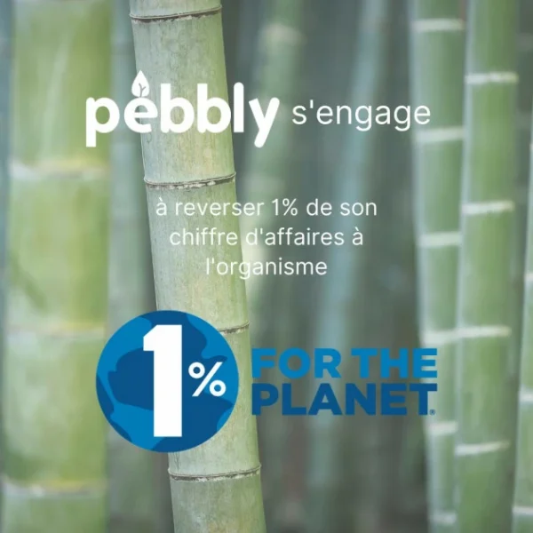 FIN DE SERIE Lot 6 Piques à Fondue Bambou Et Inox Colorées Pebbly en france 3