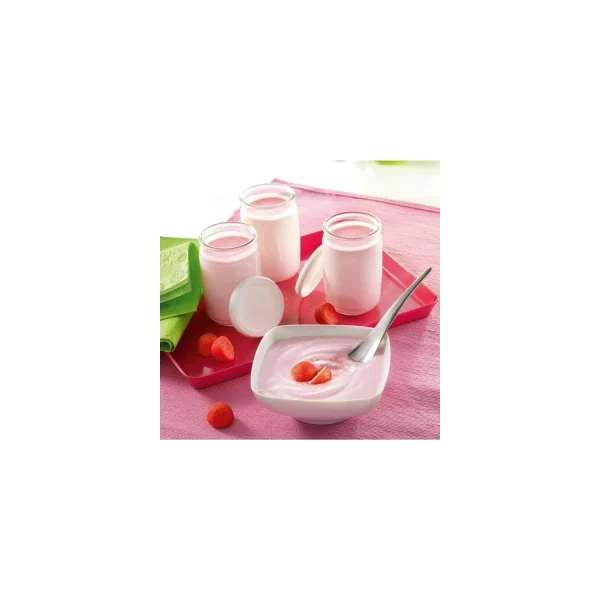 grande promotion Yaourtière 8 Pots De 125ml 30w – Yg5001 – SEB 6
